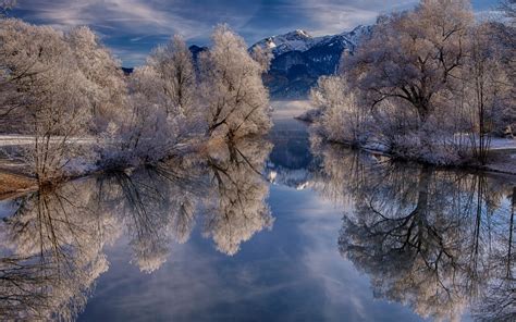 Snowy Trees Reflecting In The Mountain Lake Wallpaper Nature