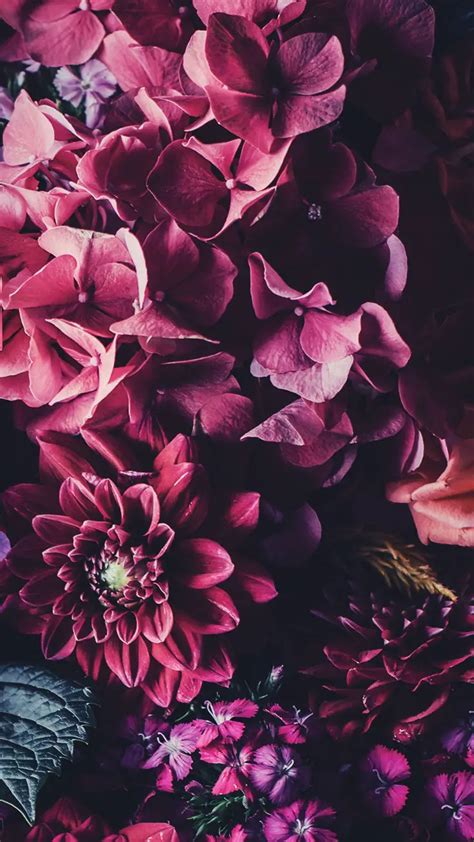 5 Floral Iphone Wallpapers To Celebrate 65k Pinterest Followers