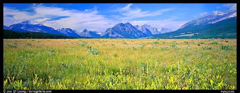 Panoramic Picturephoto Prairie And Mountains Glacier National Park
