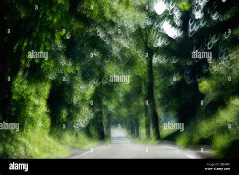 Germany Bavaria Country Road Through Tree Lined Blurred Motion Stock
