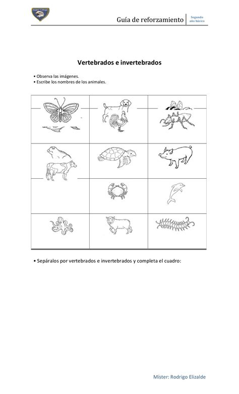 Guia De Ciencias Naturales 2° Basico 2015 N°1