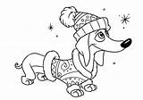 Dachshund Weiner Cani раскраска такса Razza Bassotti Dachshunds Wiener Teckel Dackel Hund Colorations Malvorlagen sketch template
