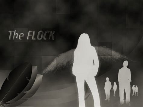the flock fan club fansite with photos videos and more