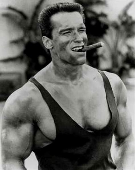 Arnold Schwarzenegger Wallpaper Hd Download