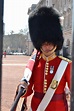 -changing of the guards - london- | Guards london, Queens guard, Royal ...