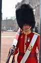 -changing of the guards - london- | Guards london, Royal guard, British ...