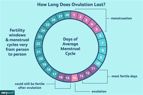 Can Ovulation Calendar Be Wrong Ursa Alexine