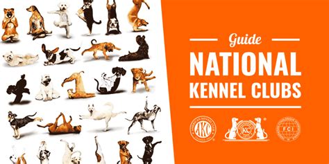 Kennel Clubs For Dog Breeders — Roles Benefits Controversies And More