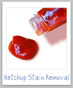 We did not find results for: Ketchup Stain Removal Guide