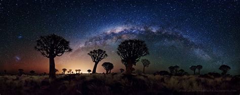 Milky Way Over Quiver Tree Forest Keetmanshoop Namibia Florian