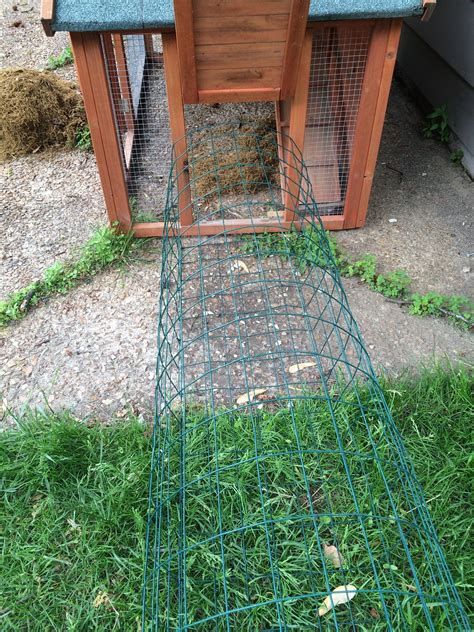 Chicken Tunnels | Chicken tunnels, Chicken diy, Chickens backyard