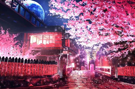 Anime Cherry Blossom K Wallpapers Top Free Anime Cherry Blossom K Backgrounds WallpaperAccess