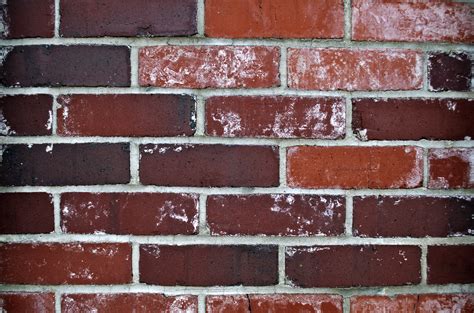 Free photo: Dark Brick Wall - Brick, Bricks, Concrete - Free Download ...