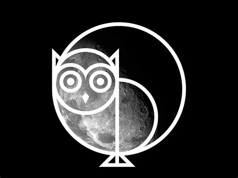 Owl And The Moon By Aaron Fitzsimons On Dribbble