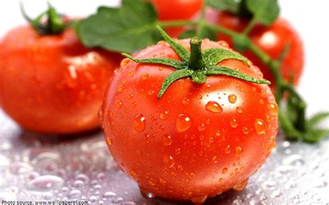 Interesting Facts About Tomatoes Just Fun Facts