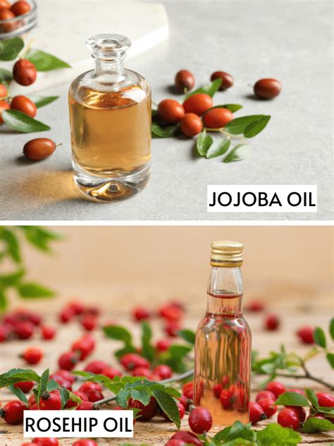 Jojoba Oil Vs Rosehip Oil Which Is Miracle For Your Skin