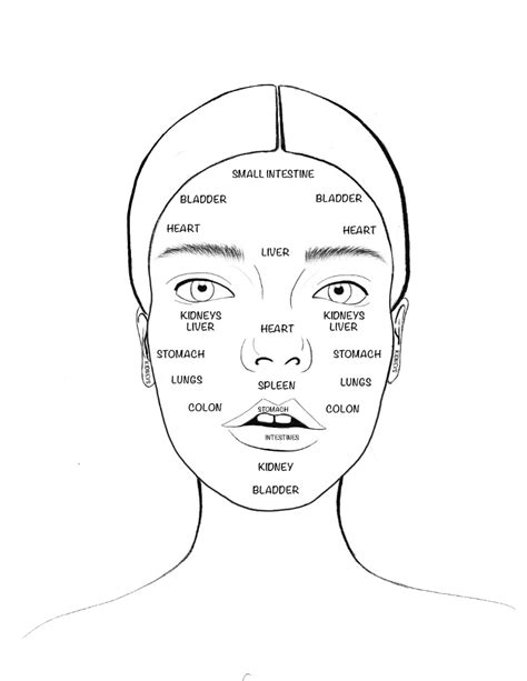 Your Ultimate Guide To Face Mapping — Alchemy Holistics