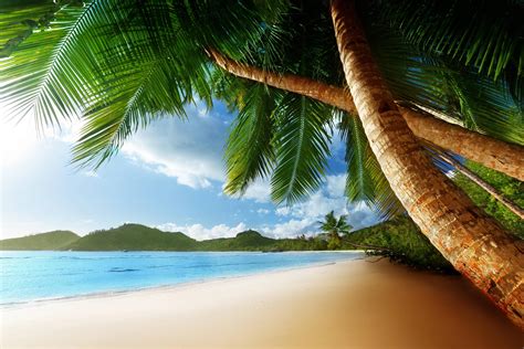 Free Caribbean Beach Wallpapers Wallpaper Cave