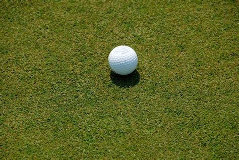 Golf Ball On Putting Green Free Stock Photo Public Domain Pictures