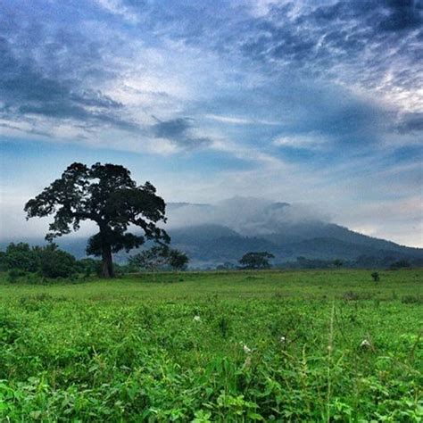 Bosques De El Salvador