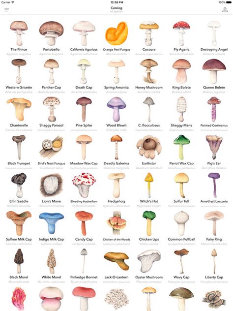 App Shopper Mushroom Id Guide North America Illustrated Fungi