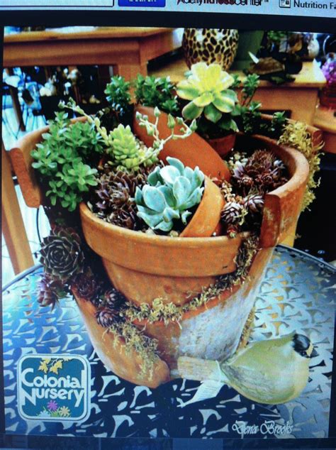 Succulents In Broken Terra Cotta Pot Designed By Kristin Middleton