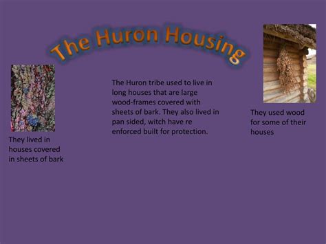 Ppt The Huron Tribe Powerpoint Presentation Free Download Id2365059