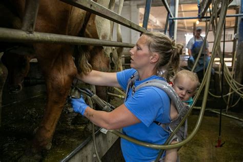 Grassland Seeks To Transform Upper Midwest Agriculture Through Perennial Grasslands