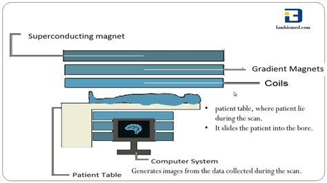 Basics Of Mri Magnetic Resonance Imaging Youtube