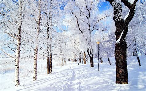 Winter Landscape Breathtaking Landscapes