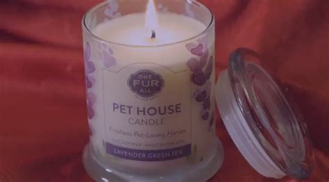 Submitted 2 years ago by maerzahler. One Fur All Pet House Candle | Pet Age