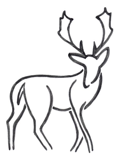 Easy Step By Step Buck Deer Drawing Smithcoreview