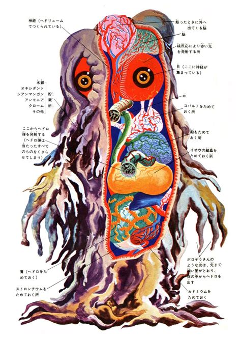 Derekmonster More Kaiju Anatomy