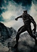 Black panther Movie Poster | Black panther movie poster, Black panther ...