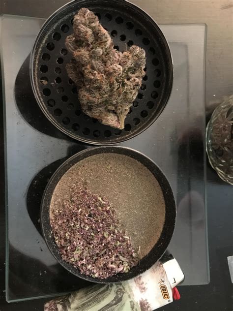 ~Super Boof~ By GreenTrap, from Rock Steady 🤙 : r/mainetrees