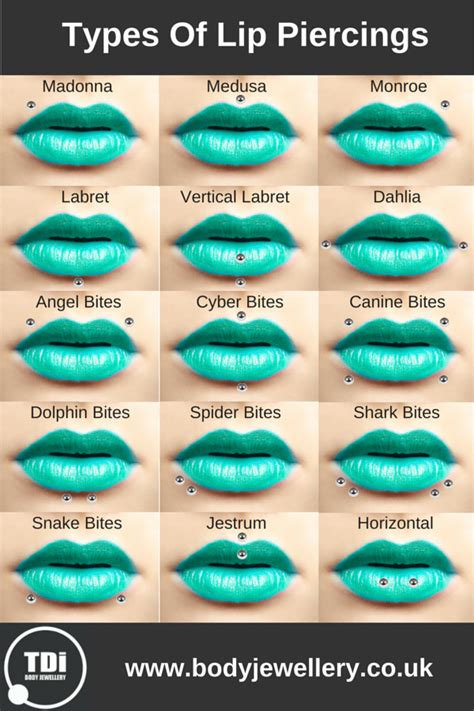 Different Types Of Lip Piercings Real Simple Answer