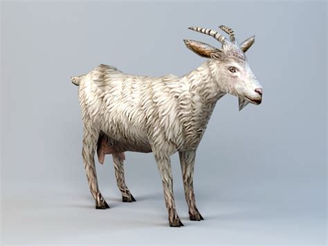 How to find 3d animals on google. Low Poly Goat 3d model 3ds Max files free download ...