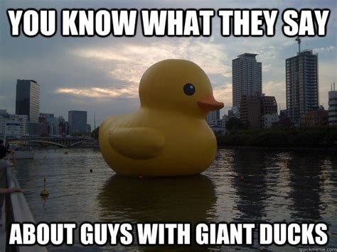 you know what they say about guys with giant ducks giant duck quickmeme