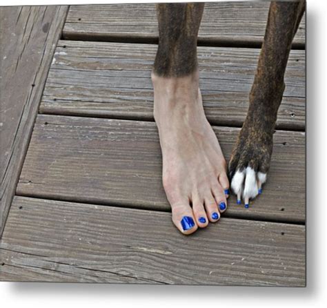 Painted Toenails And Dog Claws Digital Art By Harold Bonacquist