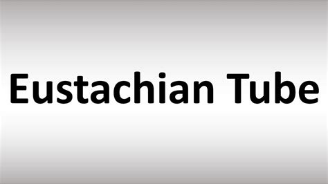 How To Pronounce Eustachian Tube Youtube