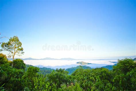 Morning Mist At Tropical Mountain Range Stock Photo Image Of Mist