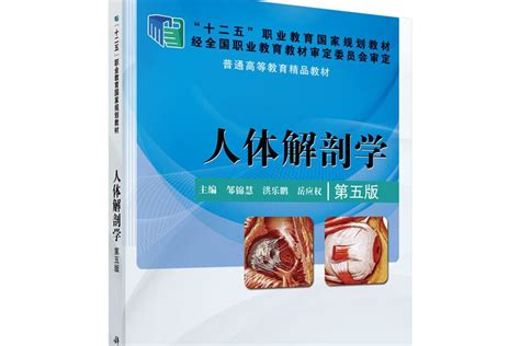 人體解剖學（第五版）內容簡介圖書目錄中文百科全書