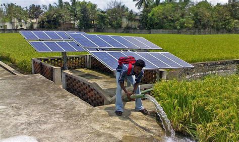 Top 5 Ways Agricultural Farms Benefit From Solar Power Solarclue