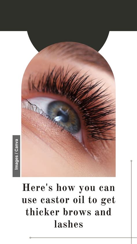 Heres How You Can Use Castor Oil To Get Thicker Brows And Lashes The