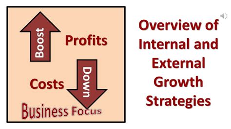 Overview Of Internal And External Growth Strategies Youtube