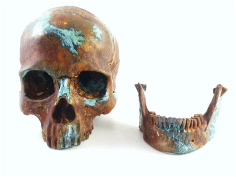 Human Skull Taxidermy Rust With Bronze Natural Turquoise Etsy