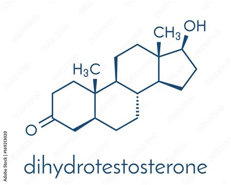 Dihydrotestosterone Dht Androstanolone Stanolone Hormone Molecule