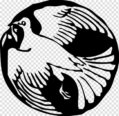 Columbidae Computer Icons White Dove Transparent Background Png