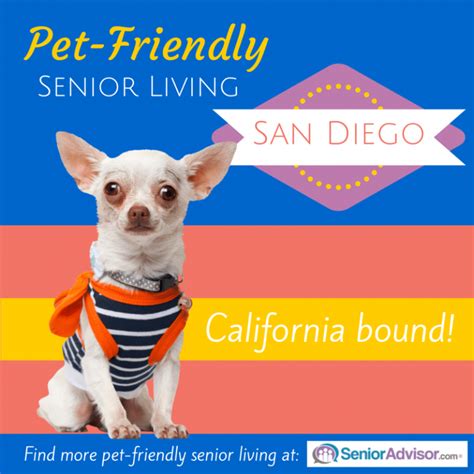 Pet Friendly Senior Living In San Diego Blog
