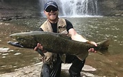 2017 Salmon Run: Big fish caught in Western NY rivers, streams (photos ...